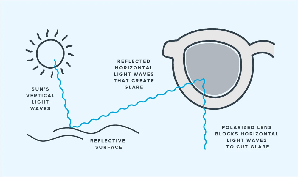 Polarized vs. Tinted Lenses: Which One’s Right for You?