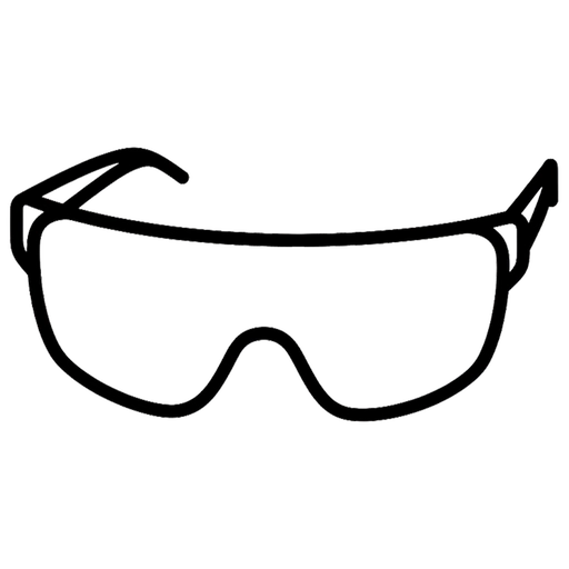 Shield for BAPORSSA sunglasses